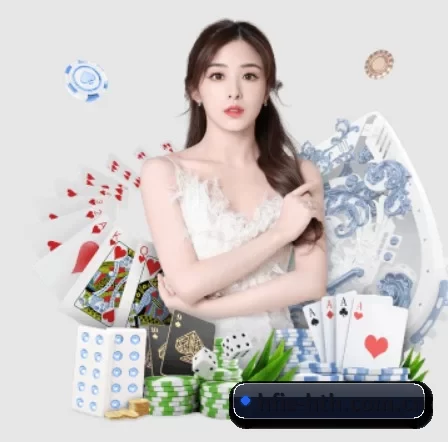 华体会中文网 APP 界面
